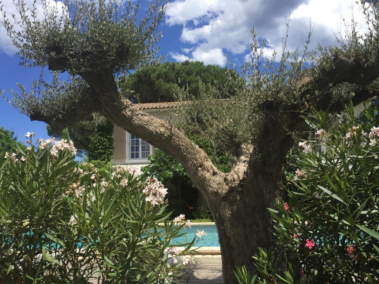 Villa La Begude - Boutique Luxury B&B Saint-Tropez Dış mekan fotoğraf